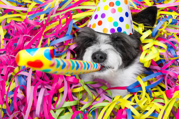 Dog party at Doghouse